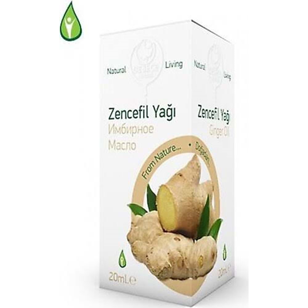 GEBECE ZENCEFİL YAĞI 20 ML