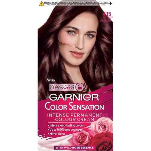 GARNIER COLOR SENSATION 4.15 BUZLU KESTANE