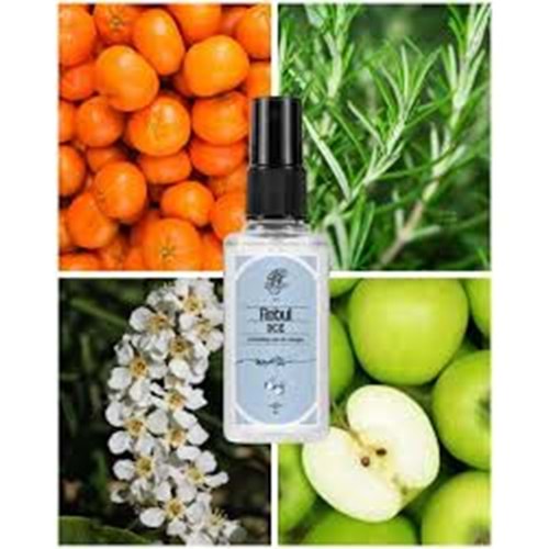 REBUL KOLONYA 50 ML ICE