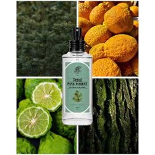 REBUL KOLONYA 50 ML PINE FOREST