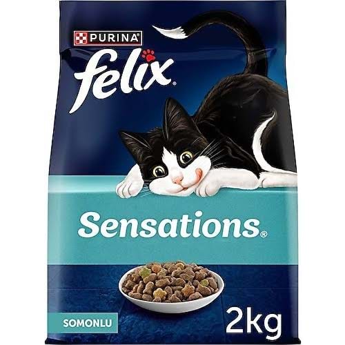 PURINA FELIX YETİŞKİN KEDİLER İÇİN SOMUNLU KEDİ KURU MAMA 2 KG