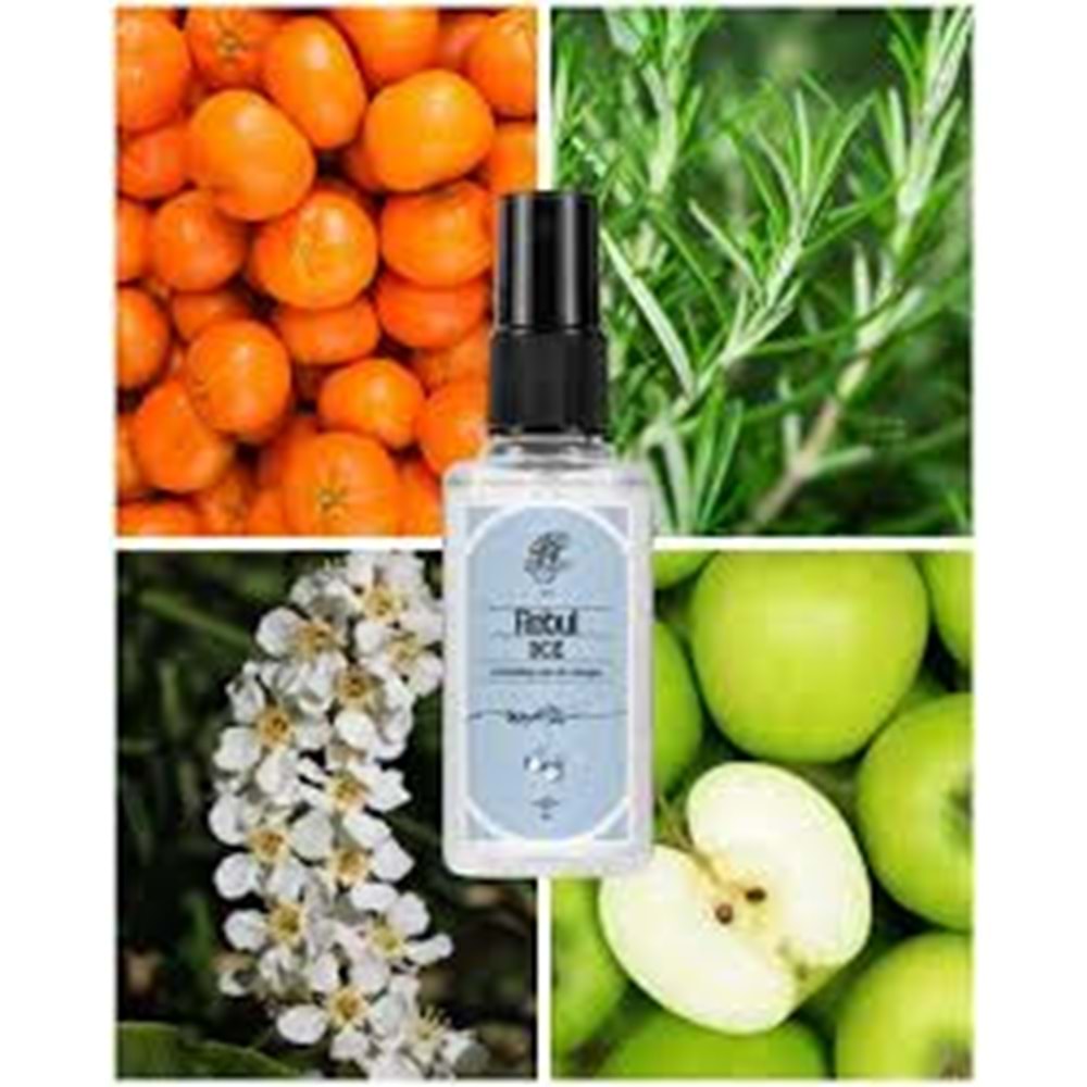 REBUL KOLONYA 50 ML ICE