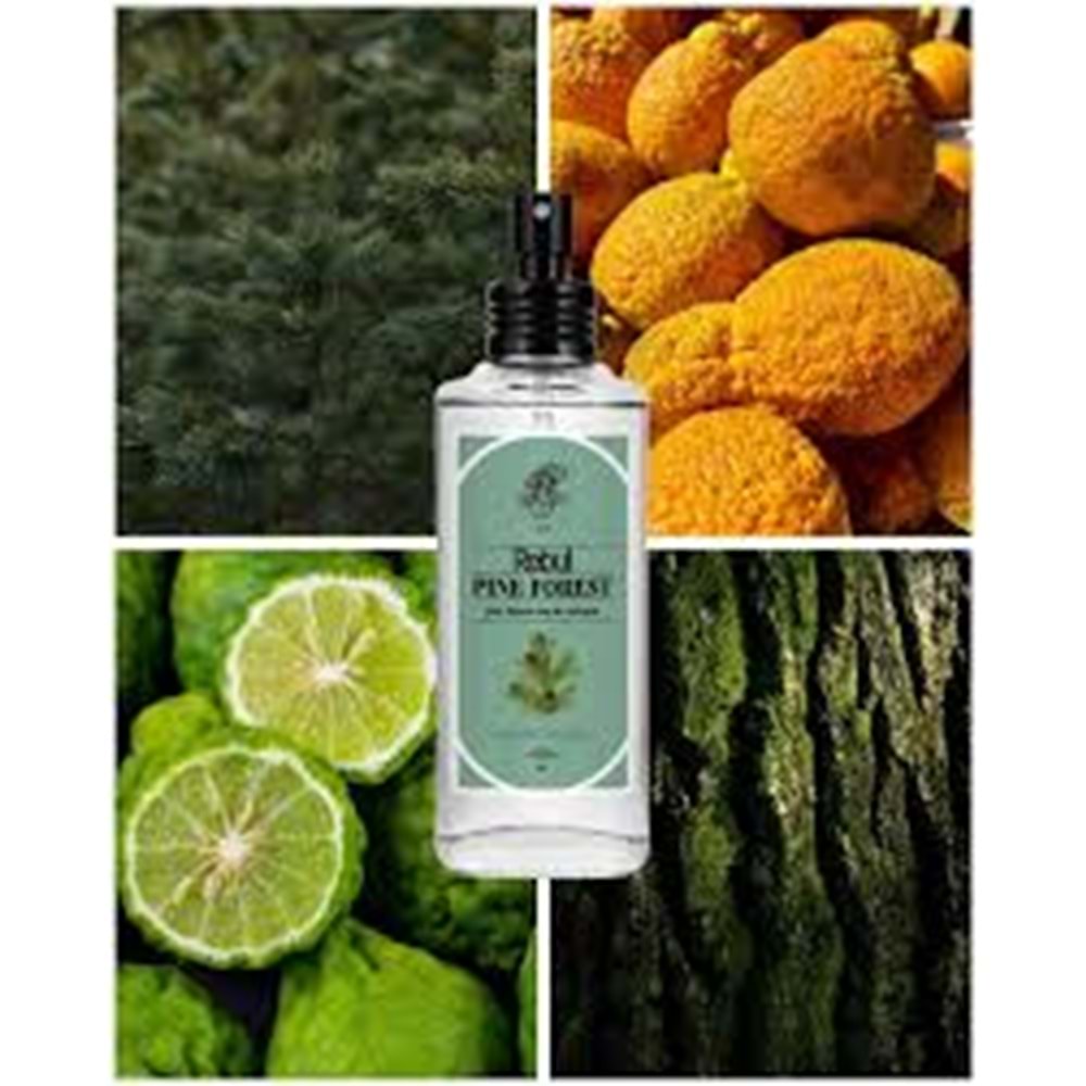 REBUL KOLONYA 50 ML PINE FOREST