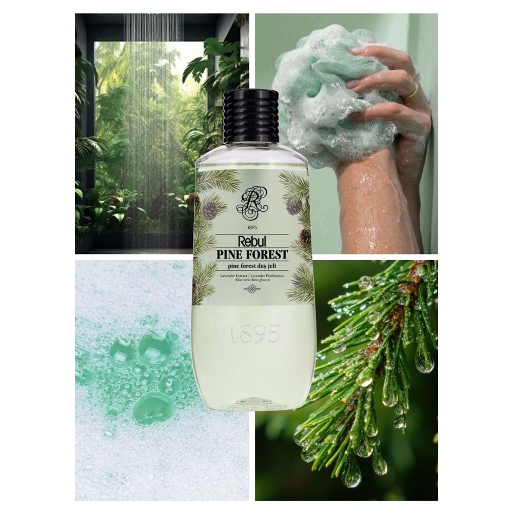 REBUL PINE FOREST DUŞ JELİ 500 ML